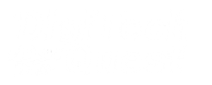 DigiTechQuest
デジテッククエスト